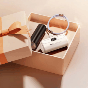 Power bank prenosiva baterija REMAX Capsule series RPP-632 2A Type C 5000mAh ljubicasta
